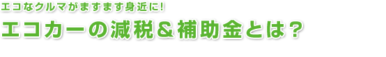 �G�R�J�[�̌��łƂ́H�b�X�o�� �G�R�J�[���� �Ώێ�